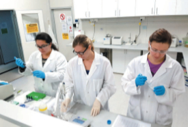 Selecting broodstock